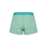 Greca Border swim shorts