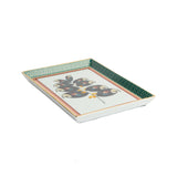 Parrotstem trinket tray