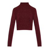 The Cashmere fleck turtleneck