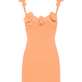 David Koma 3D Lace flower mini dress