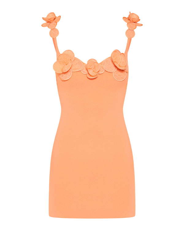 David Koma 3D Lace flower mini dress