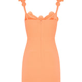 David Koma 3D Lace flower mini dress