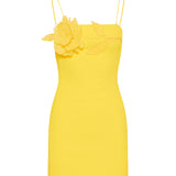 David Koma Floral appliqué mini dress