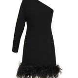 One‑shoulder silk mini dress with feathers