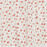 Dolce & Gabbana Rose-printed poplin mini dress