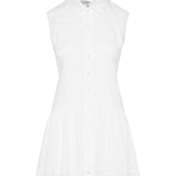 Frame The embroidered day dress