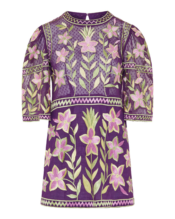 Carioca embroidered mini dress