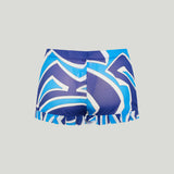 Pucci Labirinto print shorts