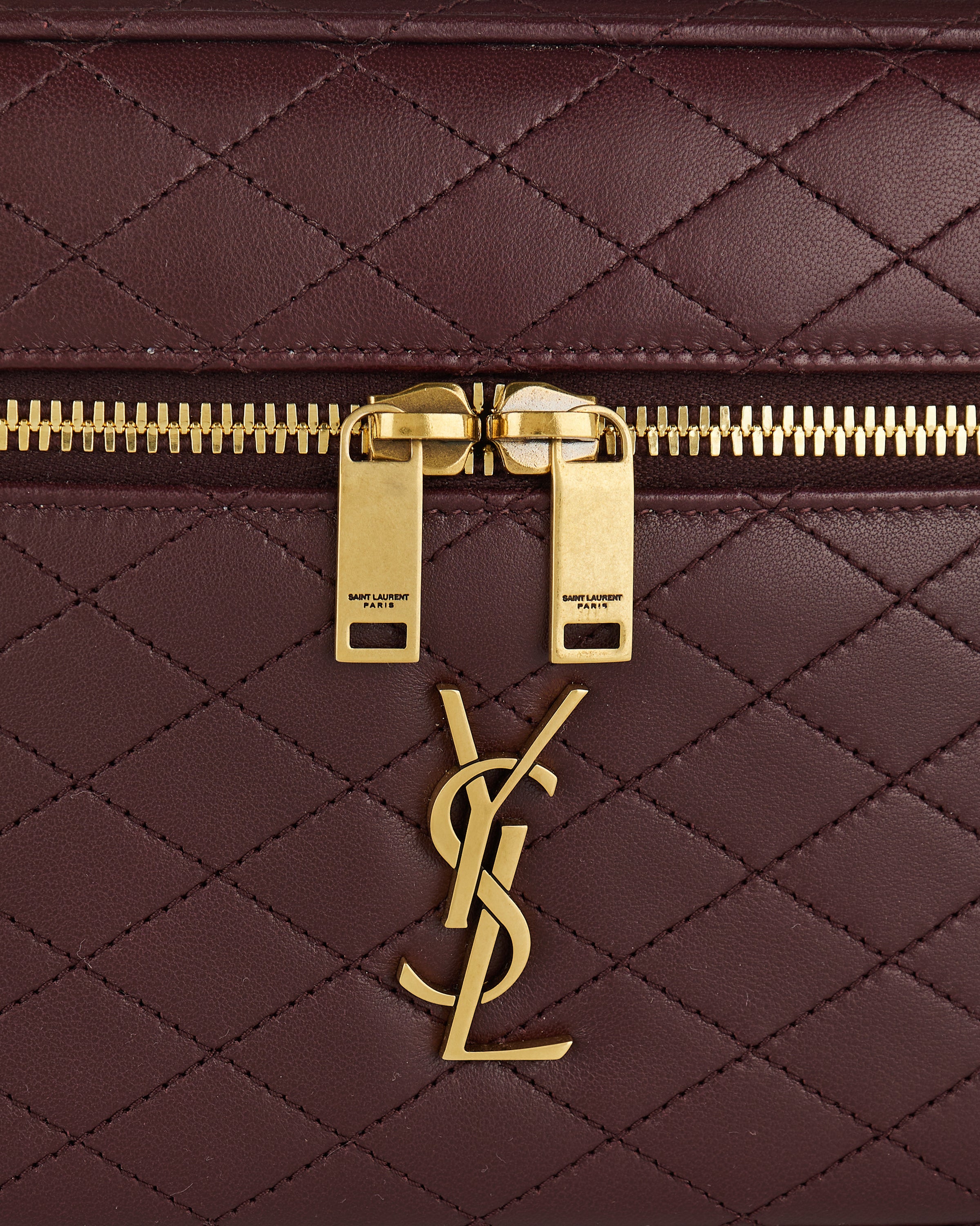 Saint Laurent Gaby vanity leather bag – Luisa World