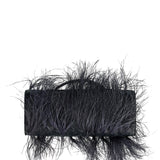 Bottega Veneta Andiamo clutch