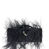 Bottega Veneta Andiamo clutch