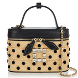 Roger Vivier Polka Dot Vanity Très Vivier micro bag