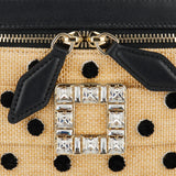 Roger Vivier Polka Dot Vanity Très Vivier micro bag