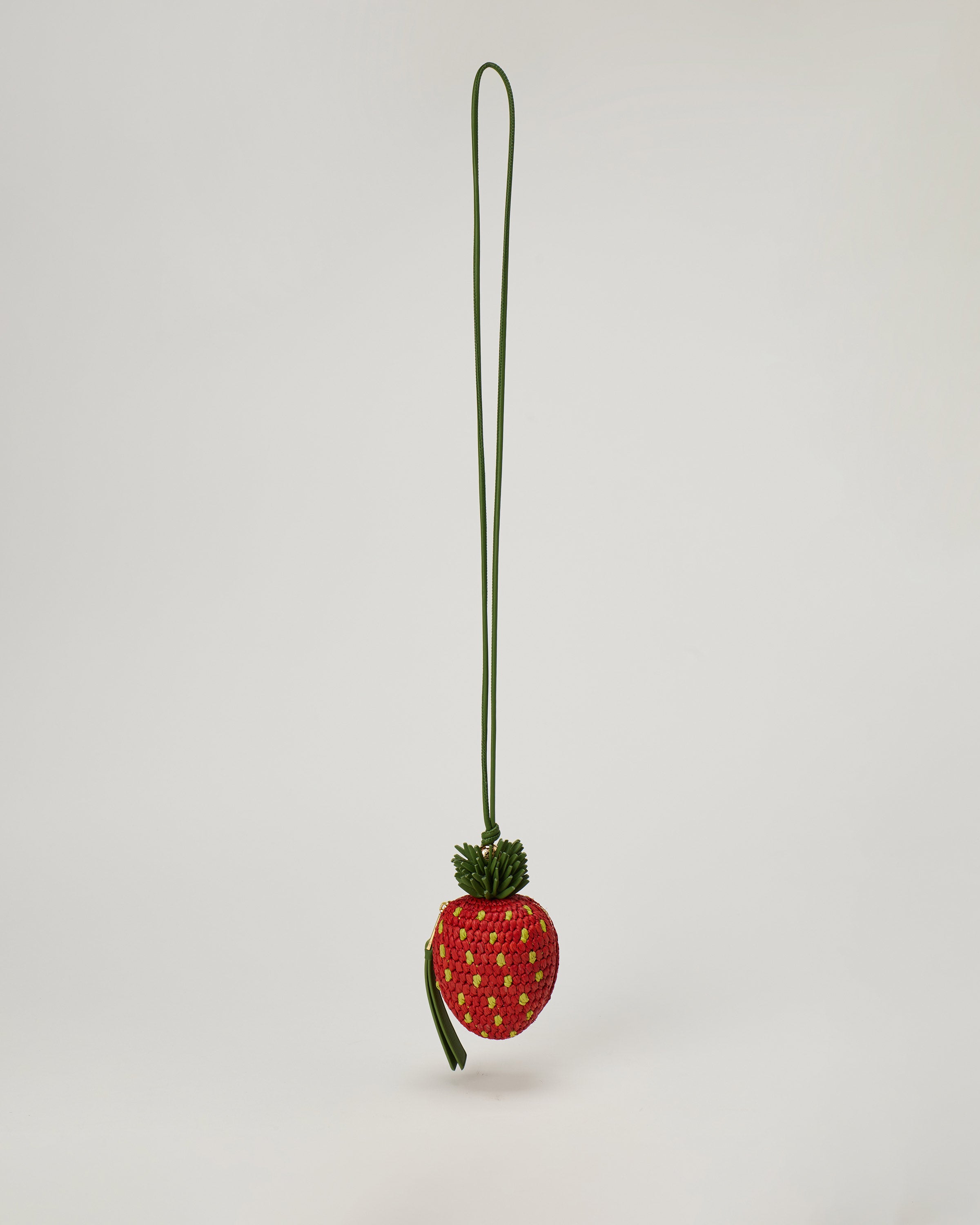 LOEWE PAULA'S IBIZA Loewe Paula's Ibiza Strawberry coin raffia