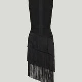 Hervé Léger Cassi dress
