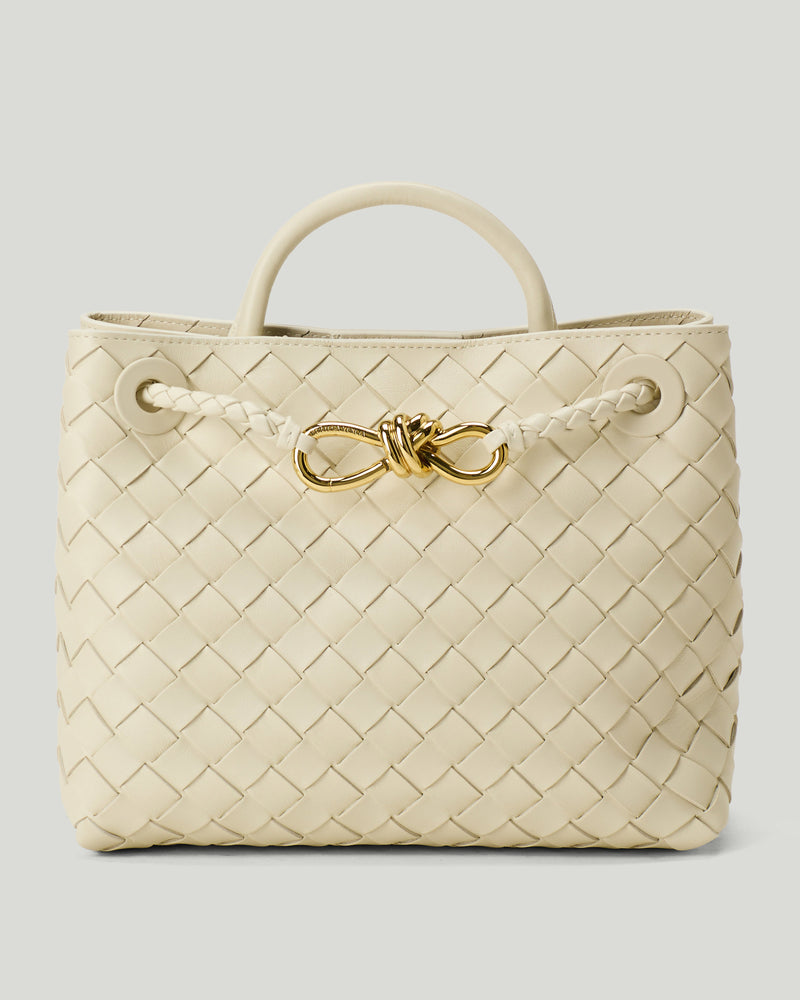 Bottega Veneta Andiamo small leather top-handle bag