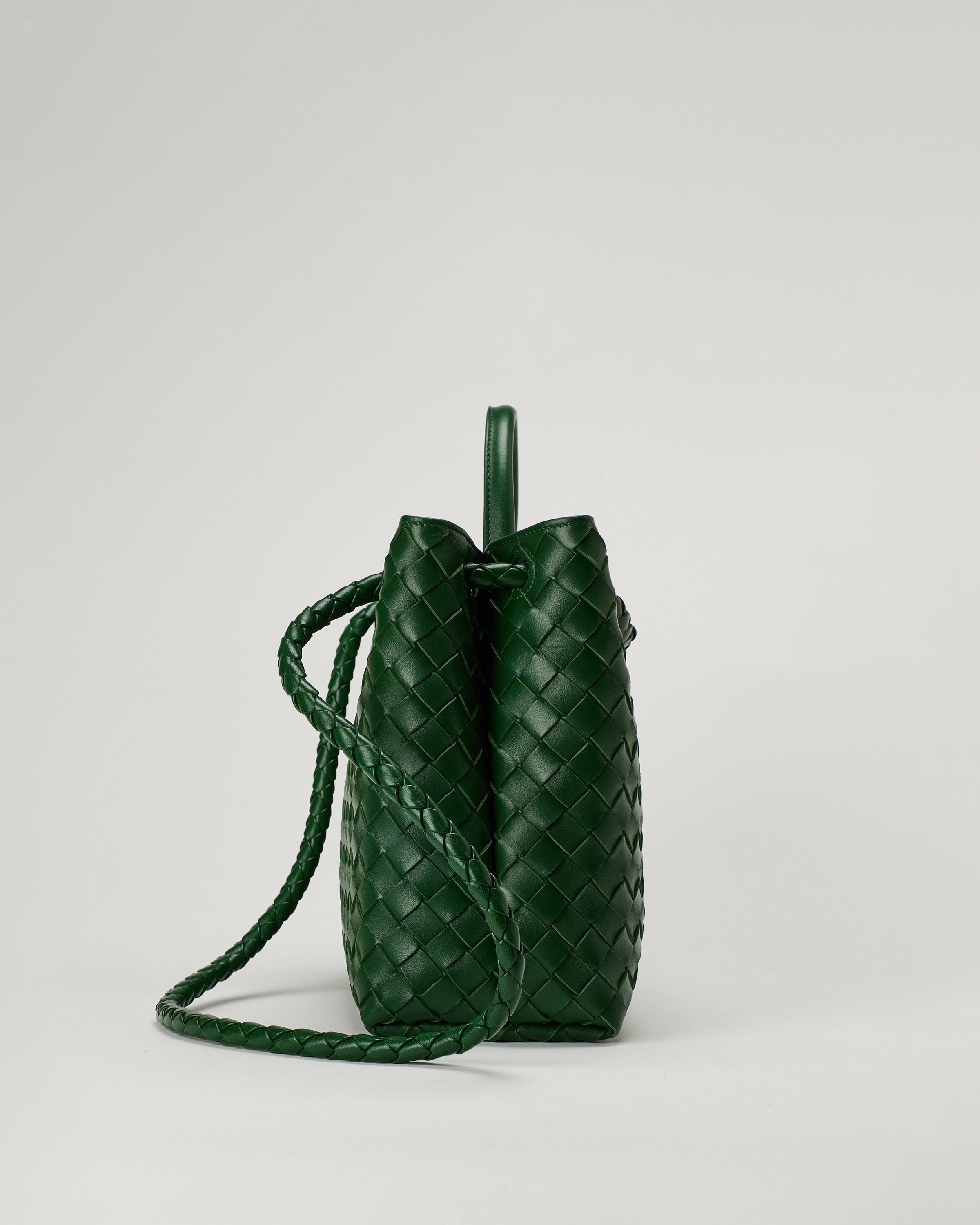 Bottega Veneta Andiamo leather bag – Luisa World