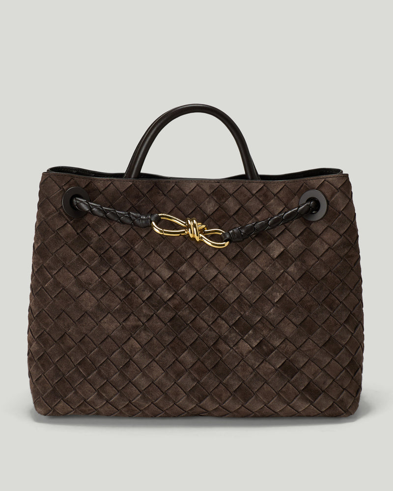 Bottega Veneta Andiamo bag