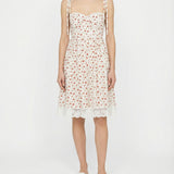 Dolce & Gabbana Rose-printed poplin mini dress