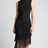 Hervé Léger Cassi dress