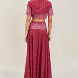 Devon Windsor Bandana Rylie maxi skirt